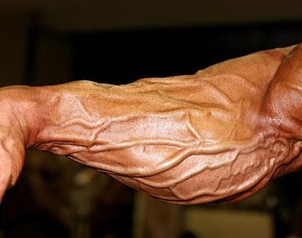 Como Aumentar A Testosterona – Top 5 Melhores Alimentos